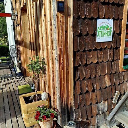 فيلا Haus Steinhof سانكت جورجين أوب موراو المظهر الخارجي الصورة