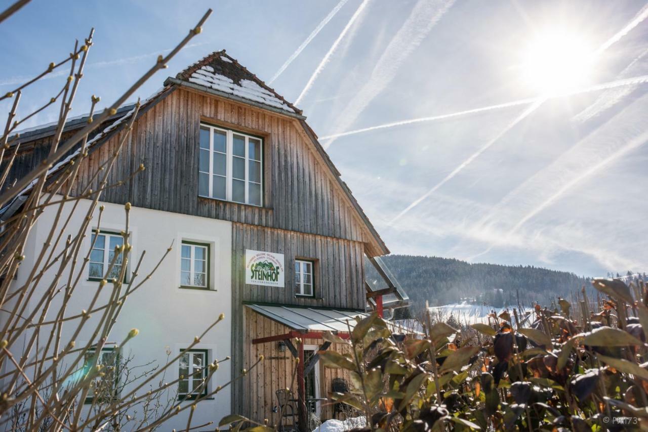 فيلا Haus Steinhof سانكت جورجين أوب موراو المظهر الخارجي الصورة