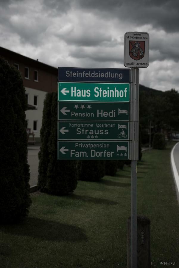 فيلا Haus Steinhof سانكت جورجين أوب موراو المظهر الخارجي الصورة